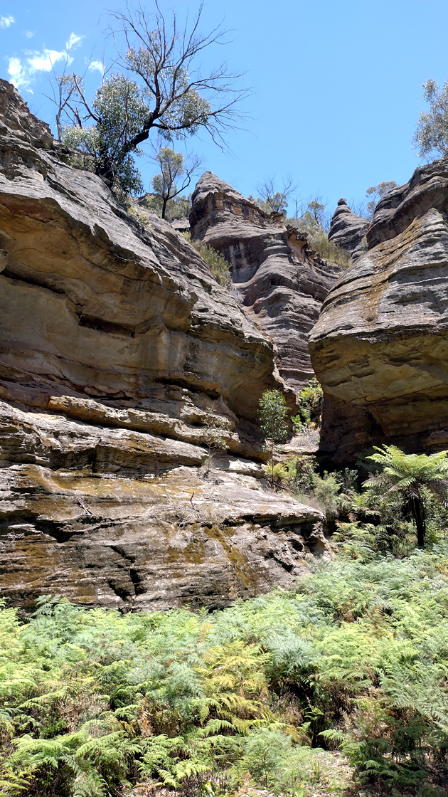 Gardens Of Stone National Park, NSW.