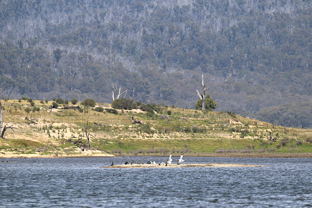 Ghost Gully Campground, NSW - 26/01/25