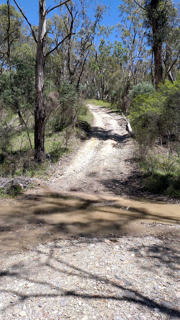 Marrangaroo, NSW - 17/02/25