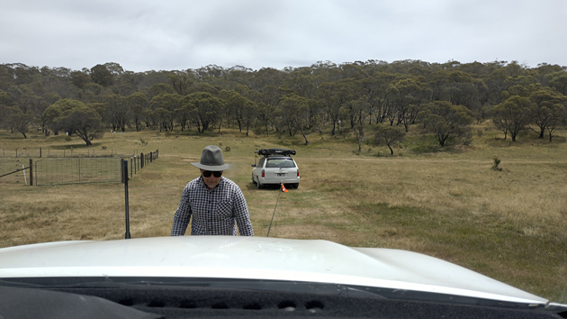 Old Snowy Campground, NSW - 26/01/25