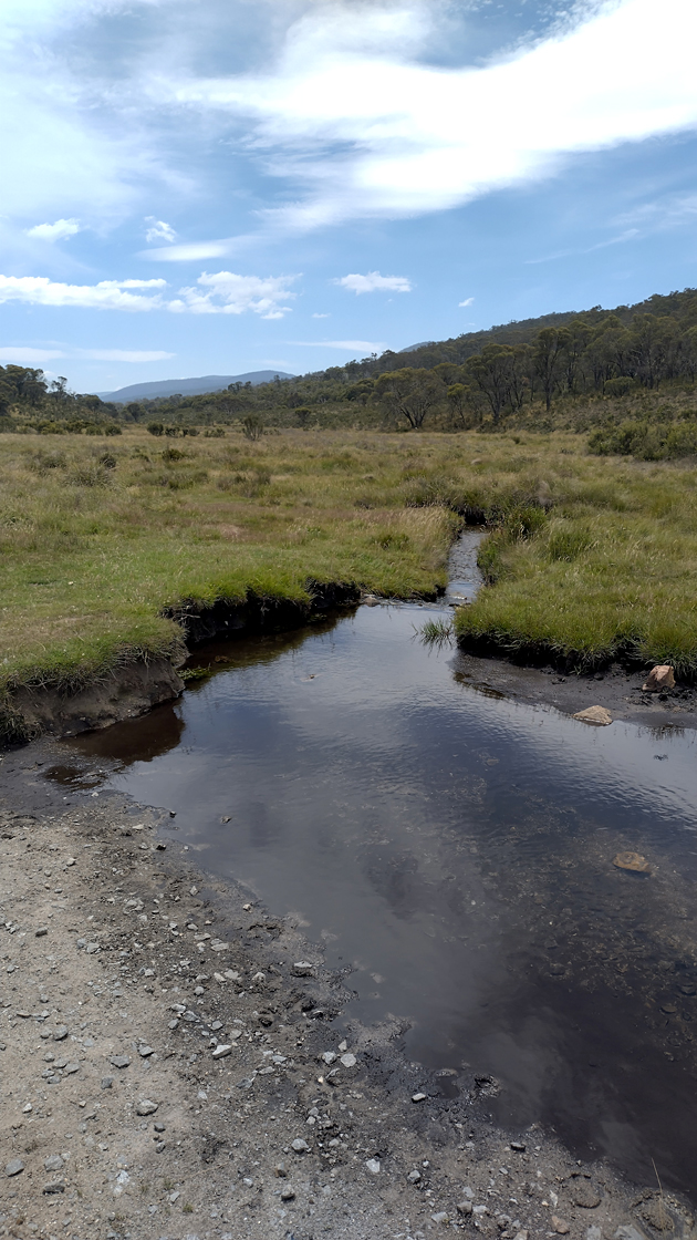 Old Snowy Campground, NSW - 26/01/25